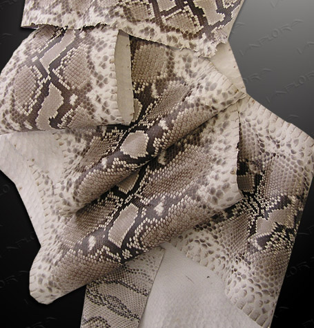 contact snakeskin leather company